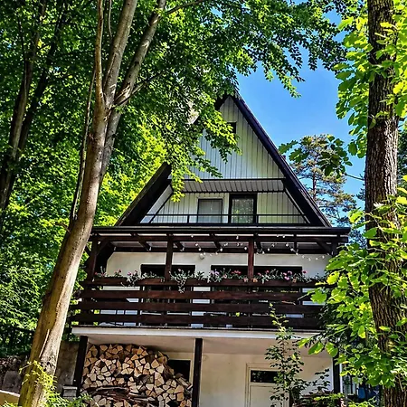 Ferienhaus Ruzin Nad Vodou